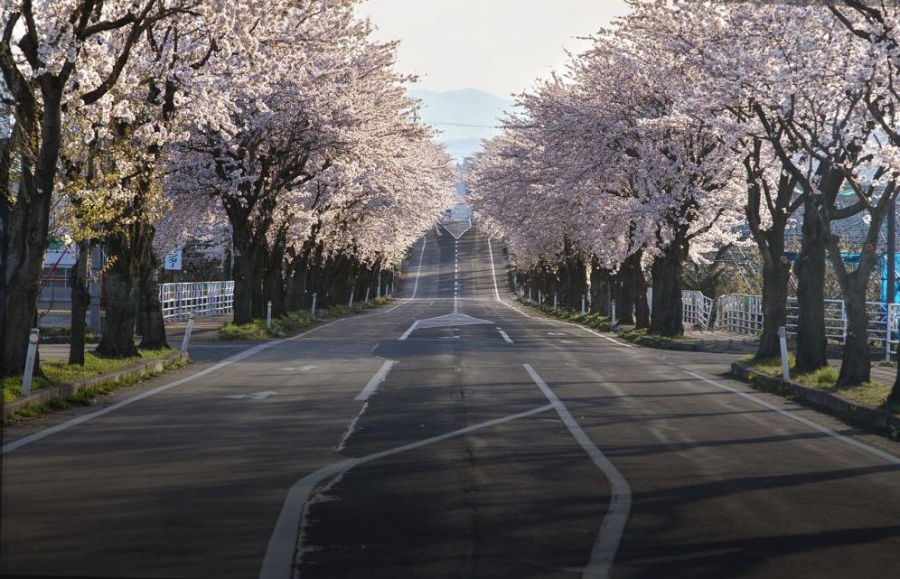 Fra Oslo til Japan: En eventyrlig reise