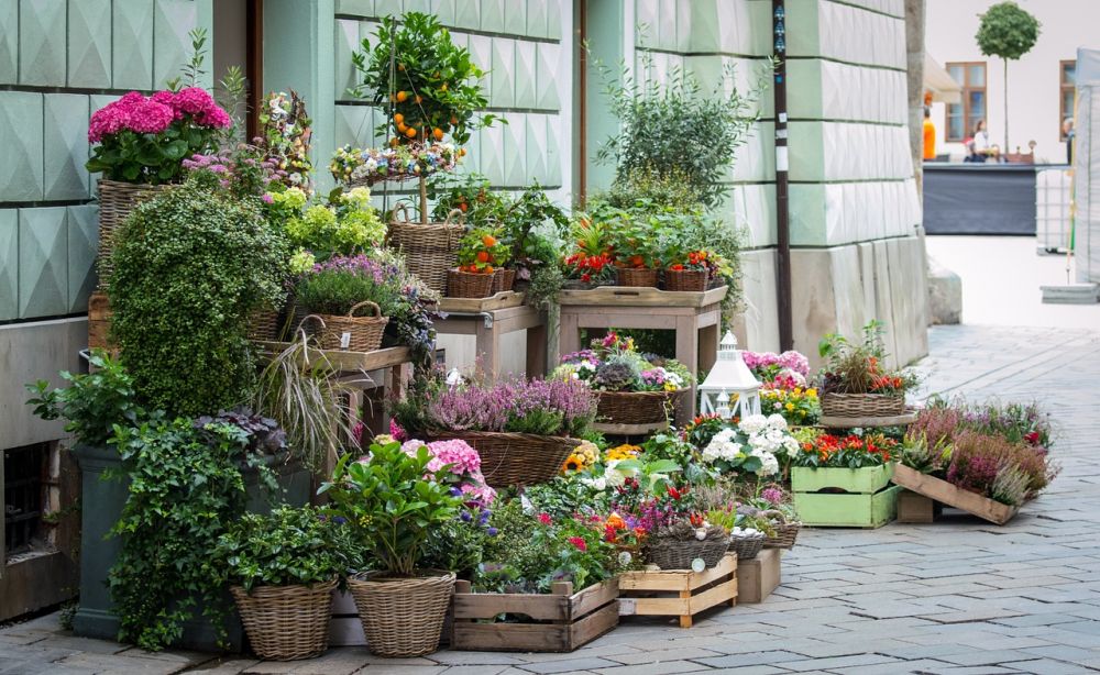 Blomsterbutikk oslo  hvordan finne riktig butikk for anledningen