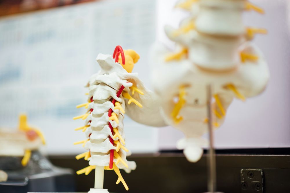 Spinal stenose  symptomer, årsaker og behandling